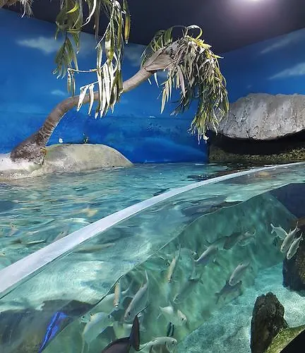 Maison d'hôtes Boutique Weber's 3*