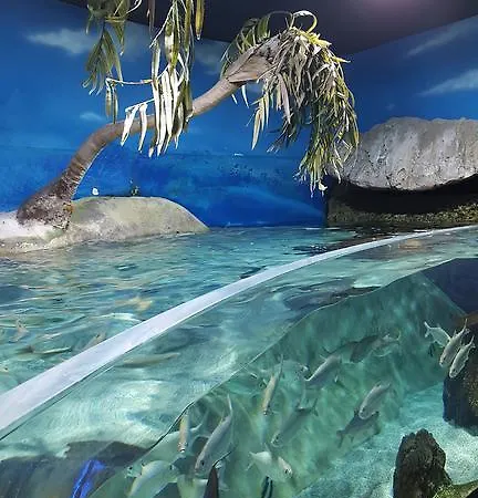 Casa de hóspedes Costa 3*